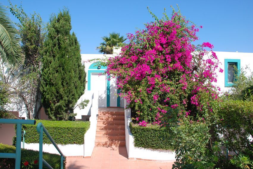 Mastichari Bay Hotel 4 Sterren, Mastichari ,Kos