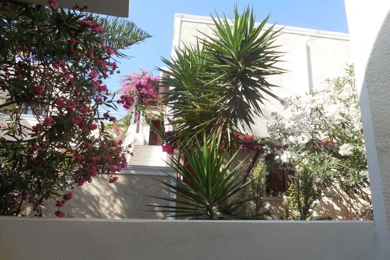 Dolphins Appartementen 3 Sterren, Thira ,Santorini